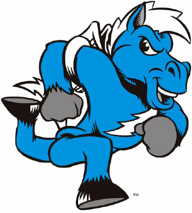 Middle Tennessee Blue Raiders 0-Pres Mascot Logo iron on transfers for T-shirts